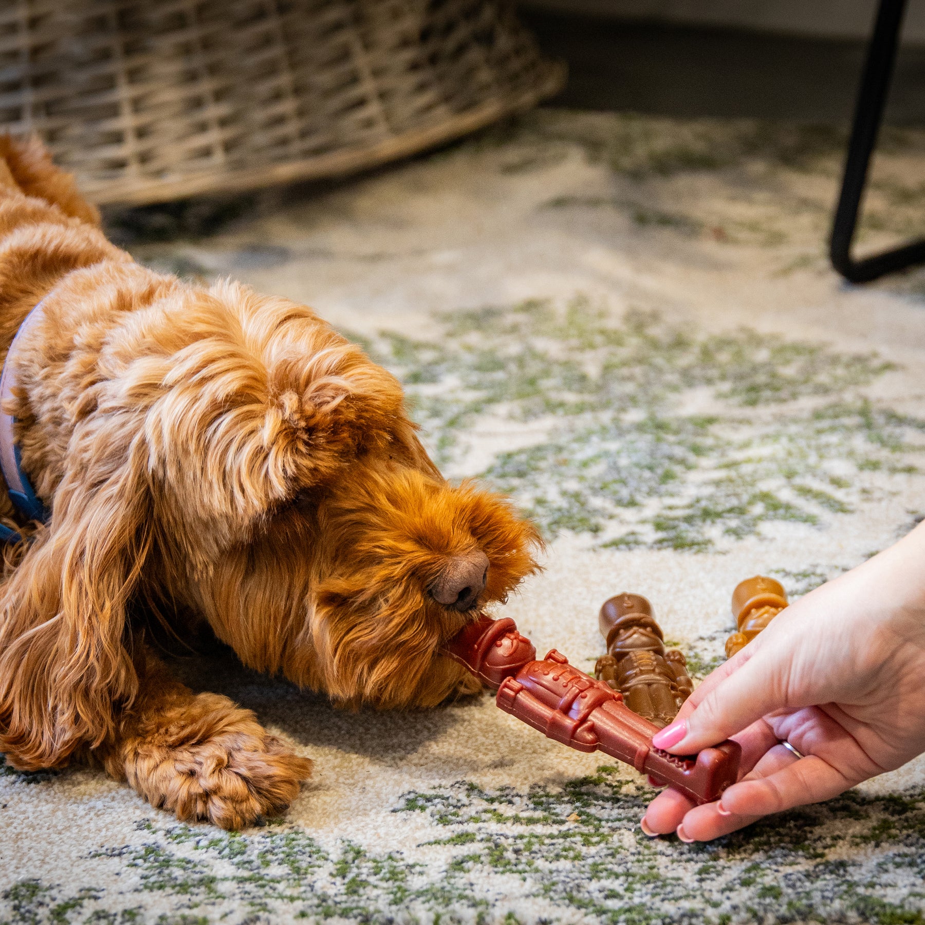 Rosewood Festive Nutcracker Trio Dog Chews