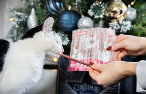 Rosewood Festive Collagen Meaty Sticks
