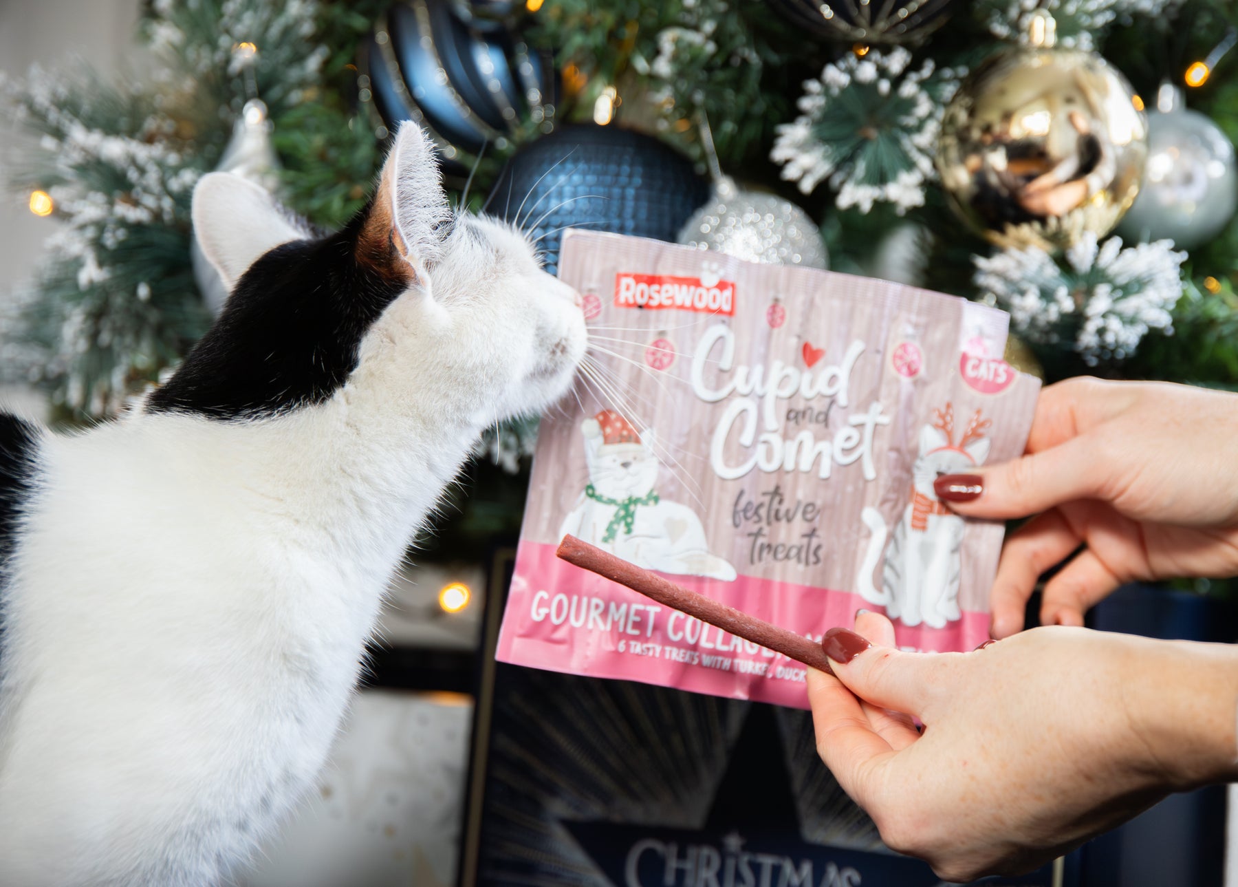 Rosewood Festive Collagen Meaty Sticks