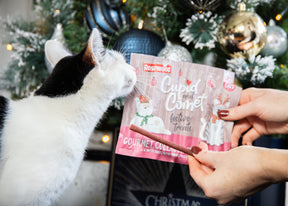 Rosewood Festive Collagen Meaty Sticks
