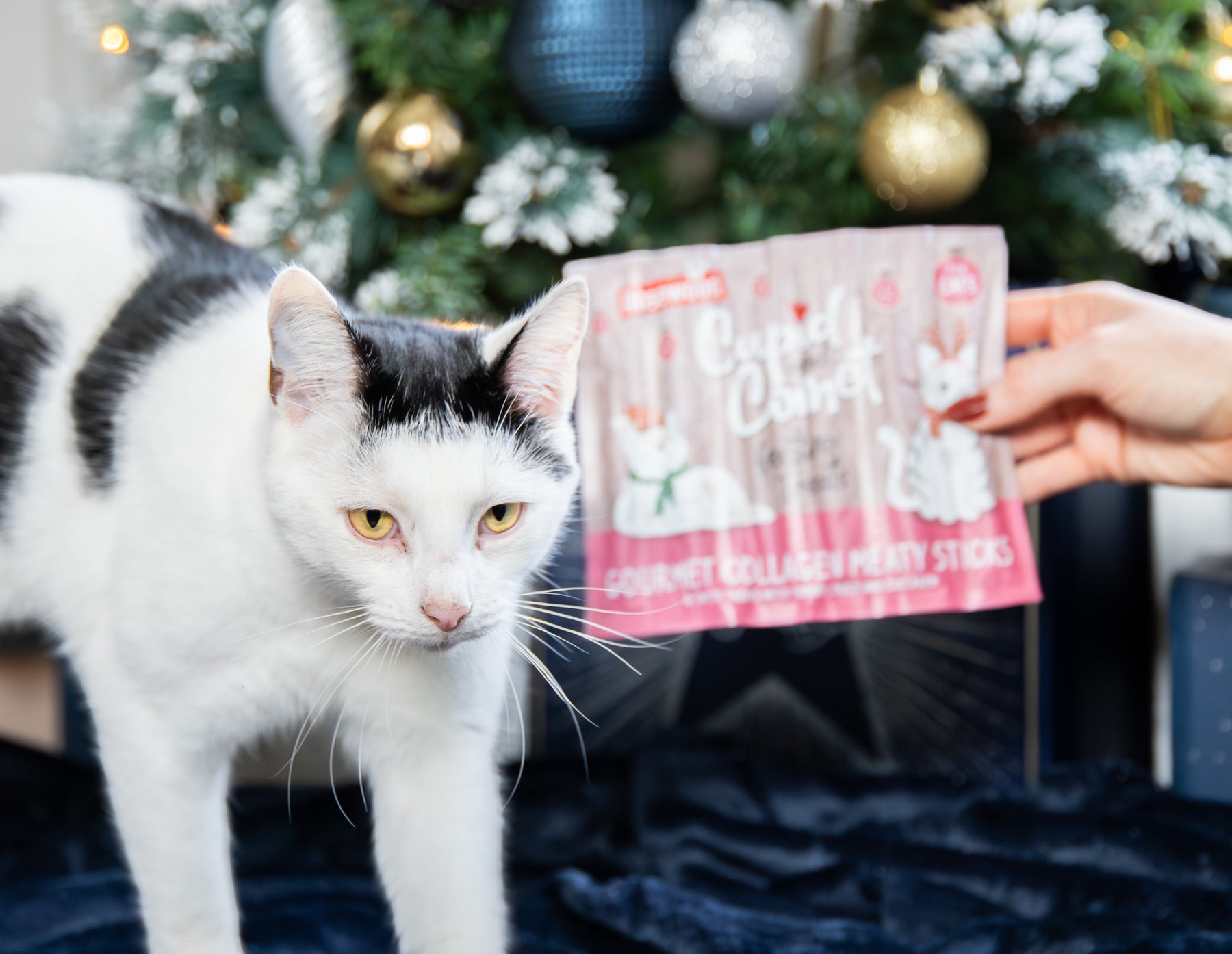 Rosewood Festive Collagen Meaty Sticks
