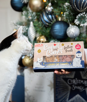 Rosewood Cat Canapes Cat Treat 120g