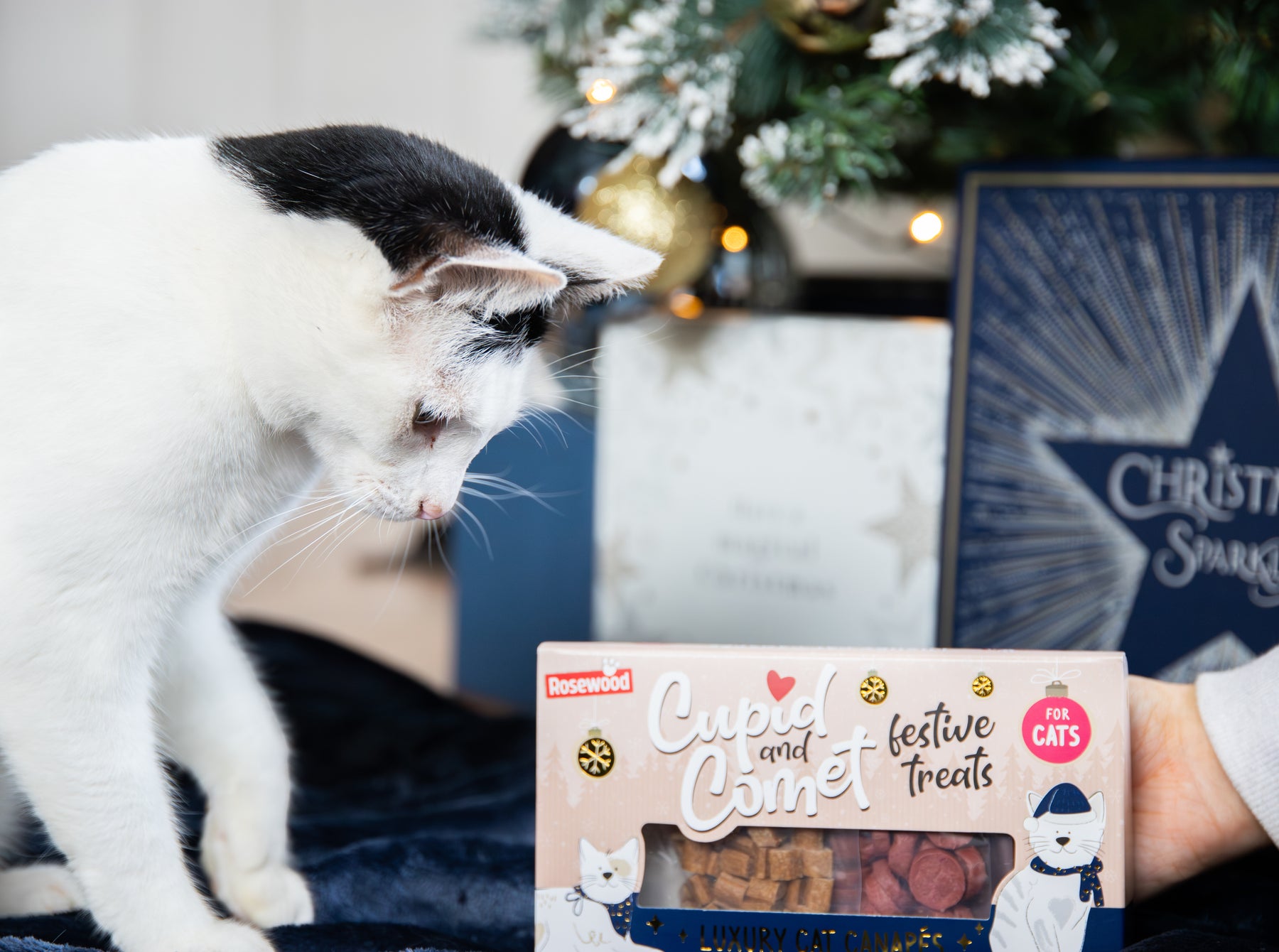 Rosewood Cat Canapes Cat Treat 120g
