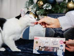 Rosewood Cat Canapes Cat Treat 120g