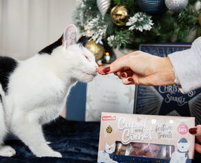 Rosewood Cat Canapes Cat Treat 120g