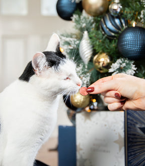 Rosewood Cat Canapes Cat Treat 120g