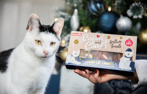 Rosewood Cat Canapes Cat Treat 120g