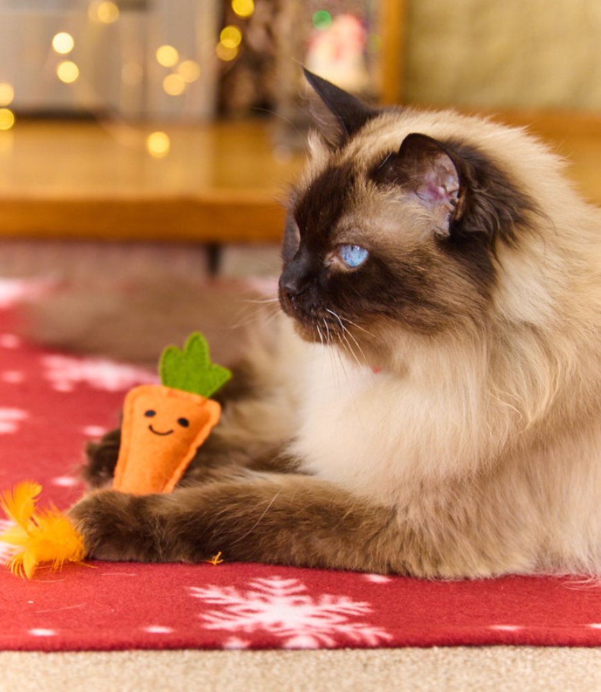 Petface Foodie Faces Felt Carrot Christmas Cat Teaser Toy