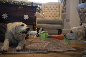 Petface Foodie Faces Christmas Veggie Tugger & Rope Dog Toy