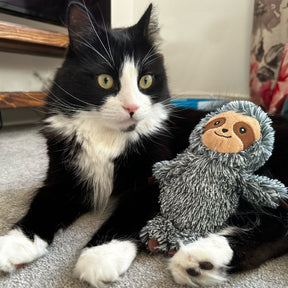 Ancol Samson Sloth Cat Kicker Cat Toy