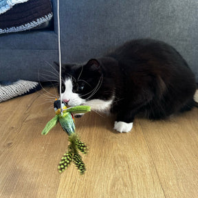 Ancol Chirping Greenfinch Cat Toy