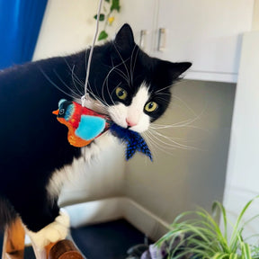 Ancol Chirping Bullfinch Cat Toy