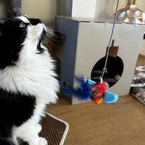 Ancol Chirping Bullfinch Cat Toy