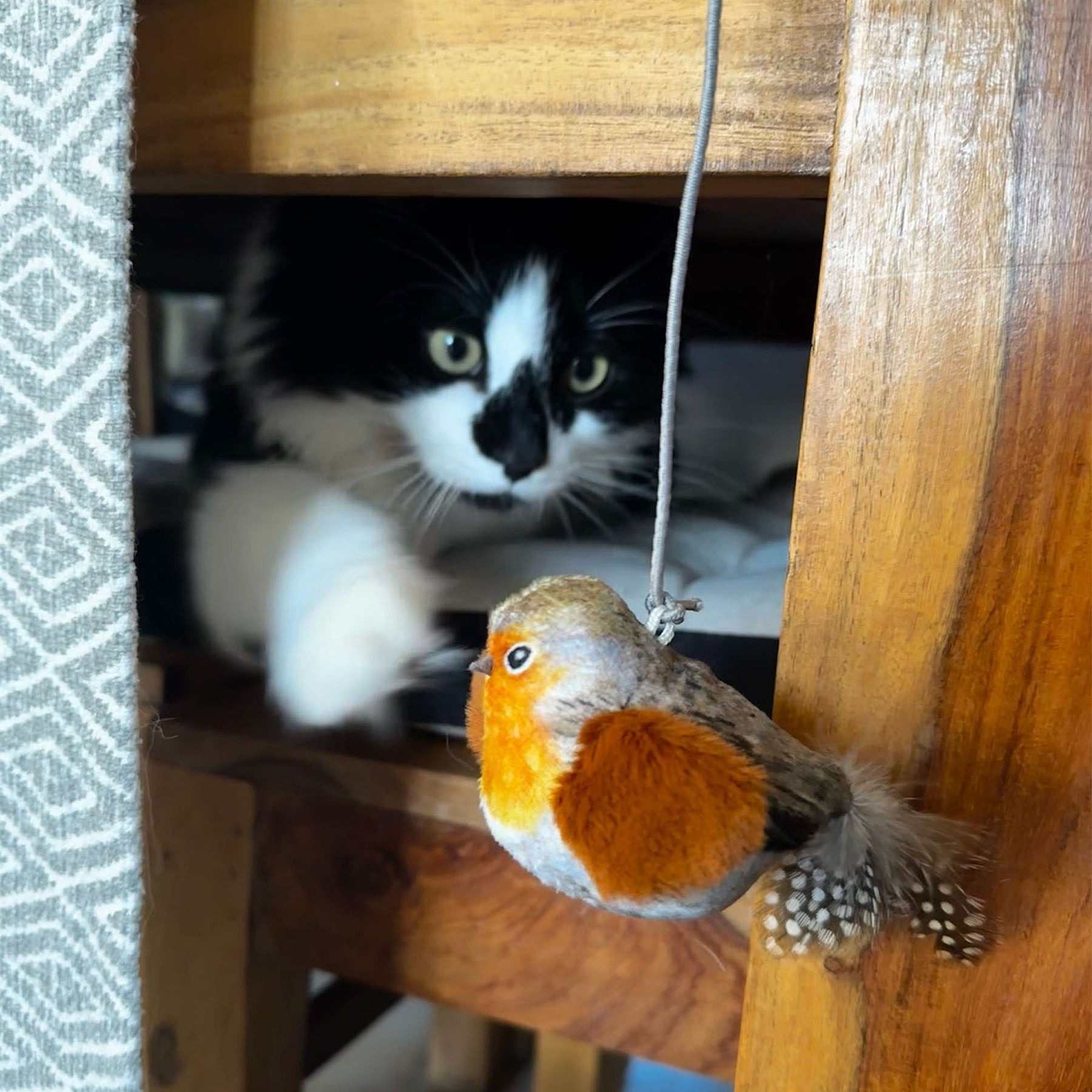 Ancol Chirping Robin Cat Toy