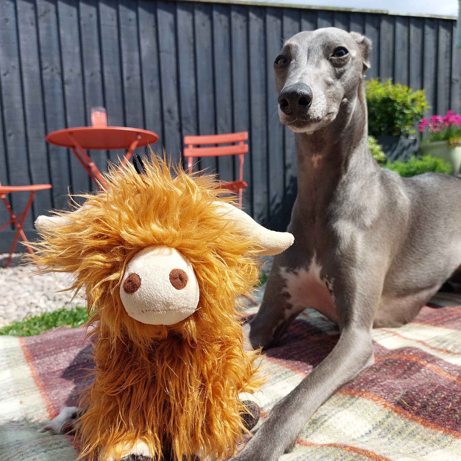 Ancol Heritage Fergus Highland Cow Dog Toy