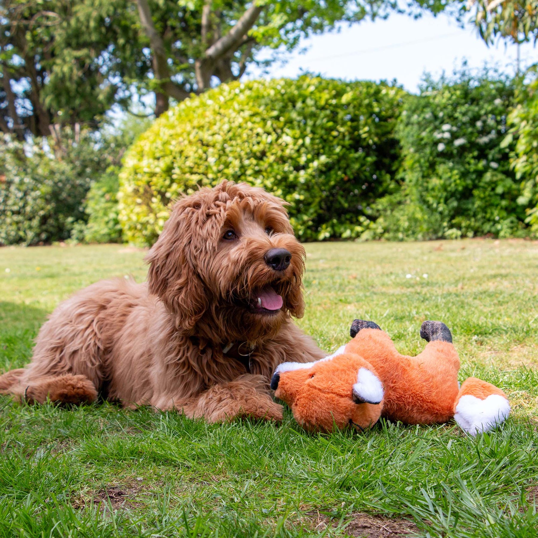 Ancol Heritage Felicity Fox Dog Toy
