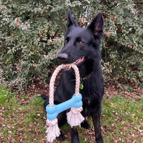 Made From Rice Bone Dog Toy