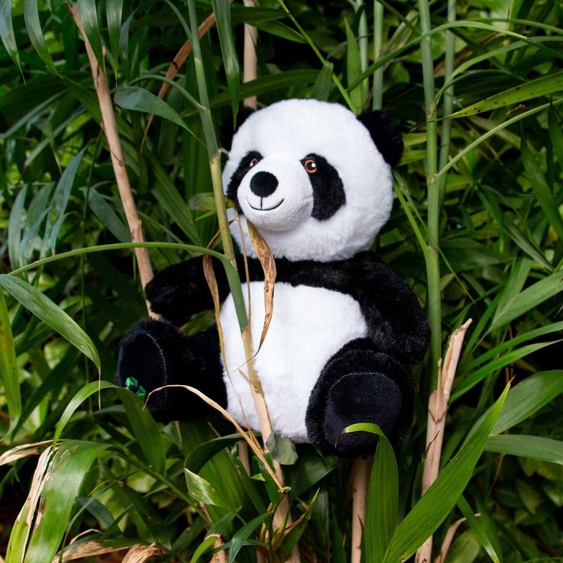 Made From Patrick Panda Dog Toy