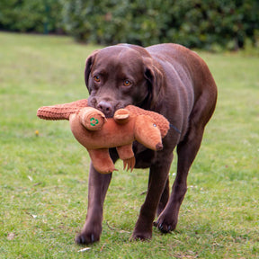 Made From Peter Pangolin Dog Toy