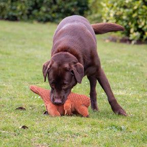 Made From Peter Pangolin Dog Toy