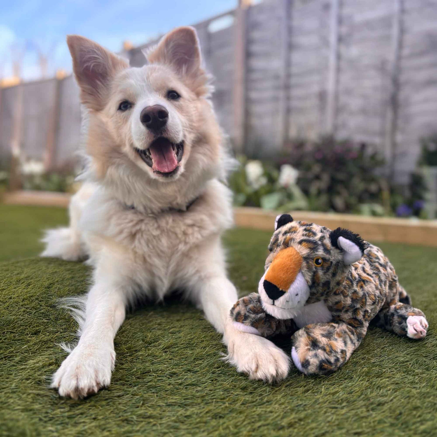 Made From Lyra Leopard Dog Toy