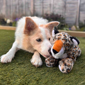 Made From Lyra Leopard Dog Toy