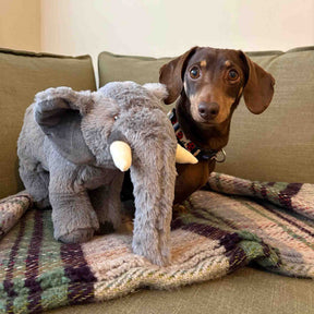 Made From Edgar Elephant Dog Toy