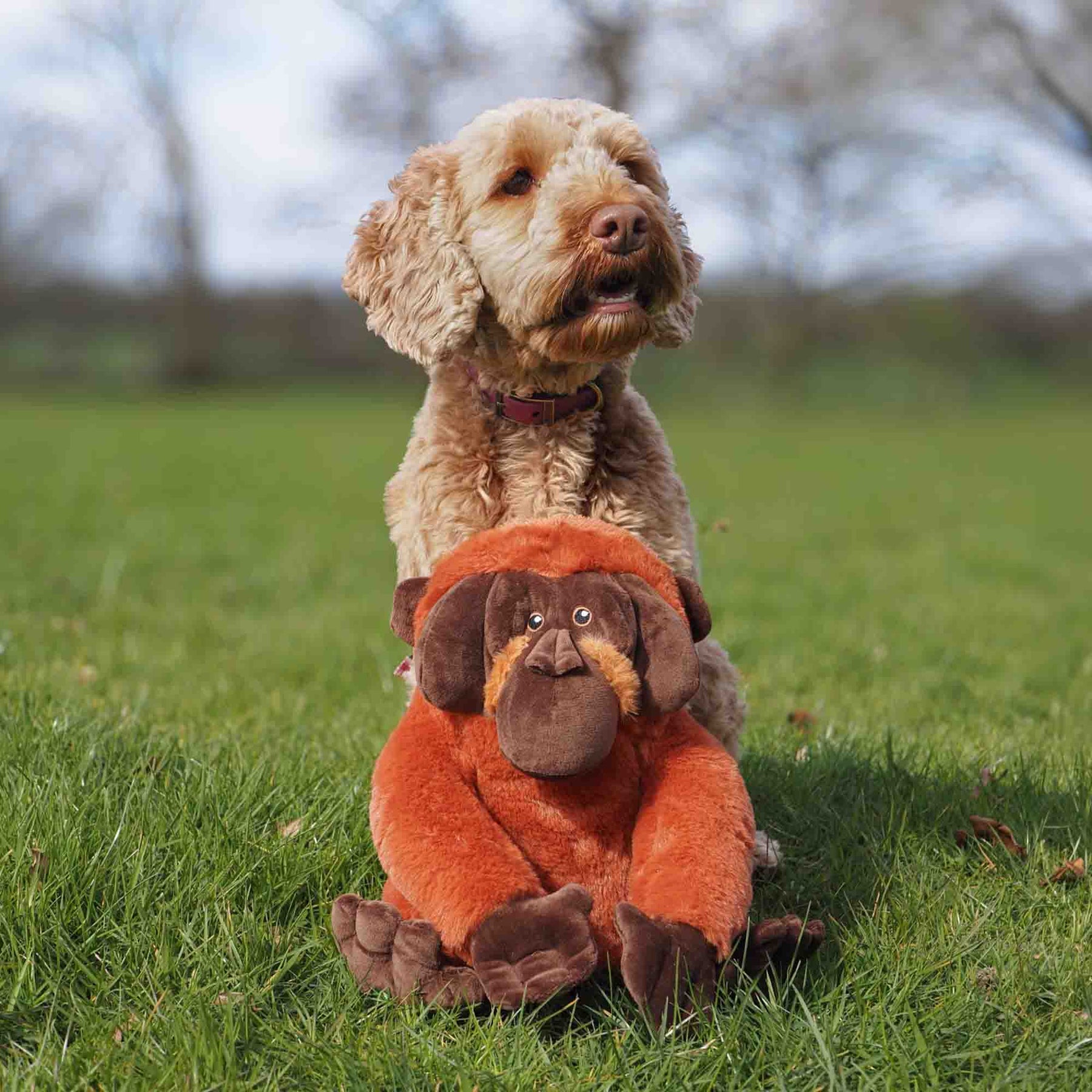 Made From Oswold Orangutan Dog Toy