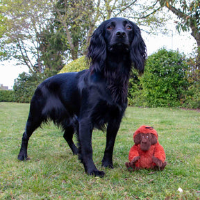 Made From Ozzy Orangutan Mini Dog Toy