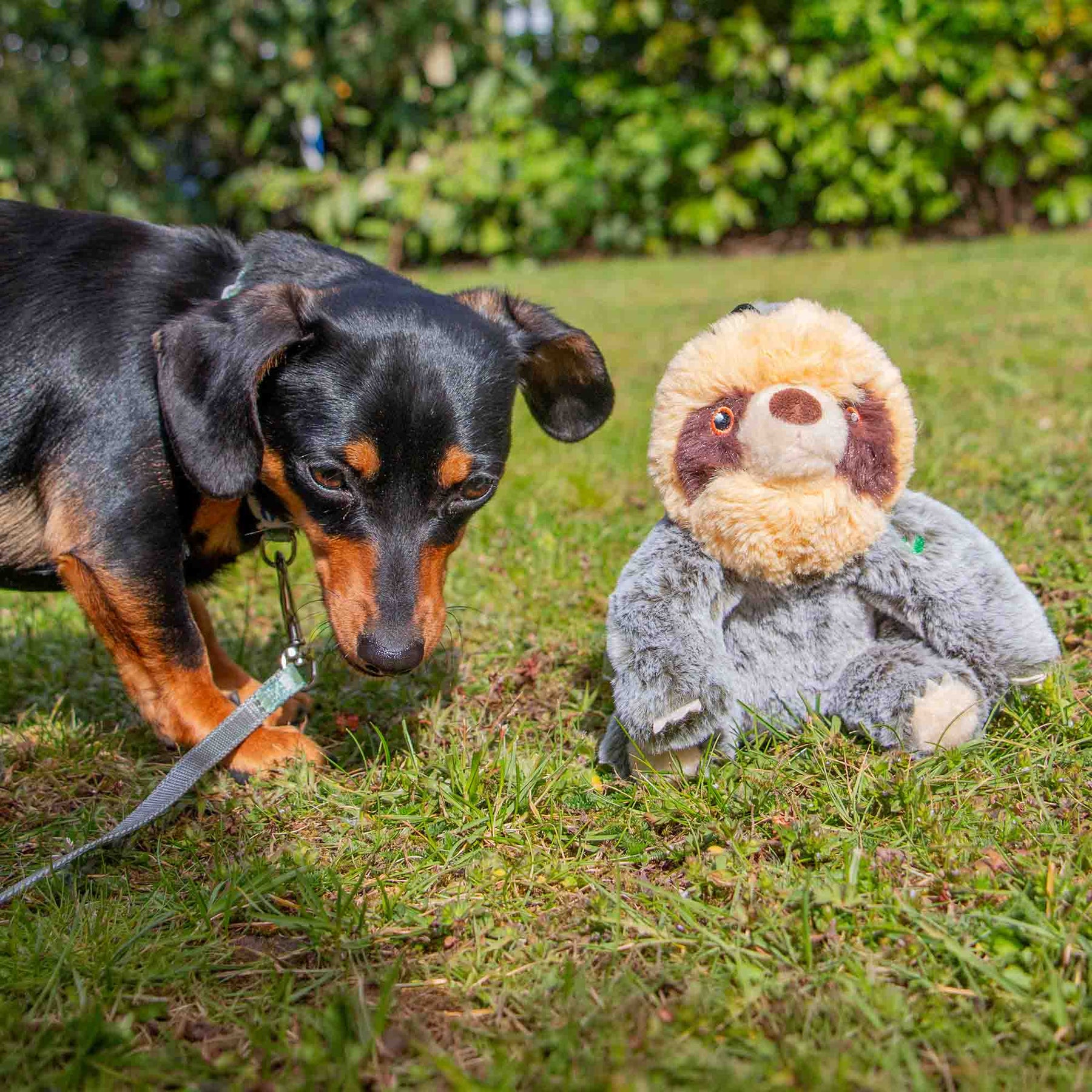 Made From Scout Sloth Mini Dog Toy