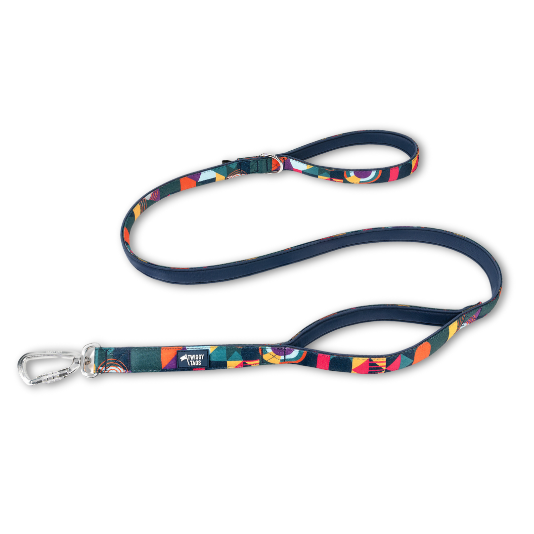 Twiggy Tags Aurora Adventure 2.0 Lead Close Control