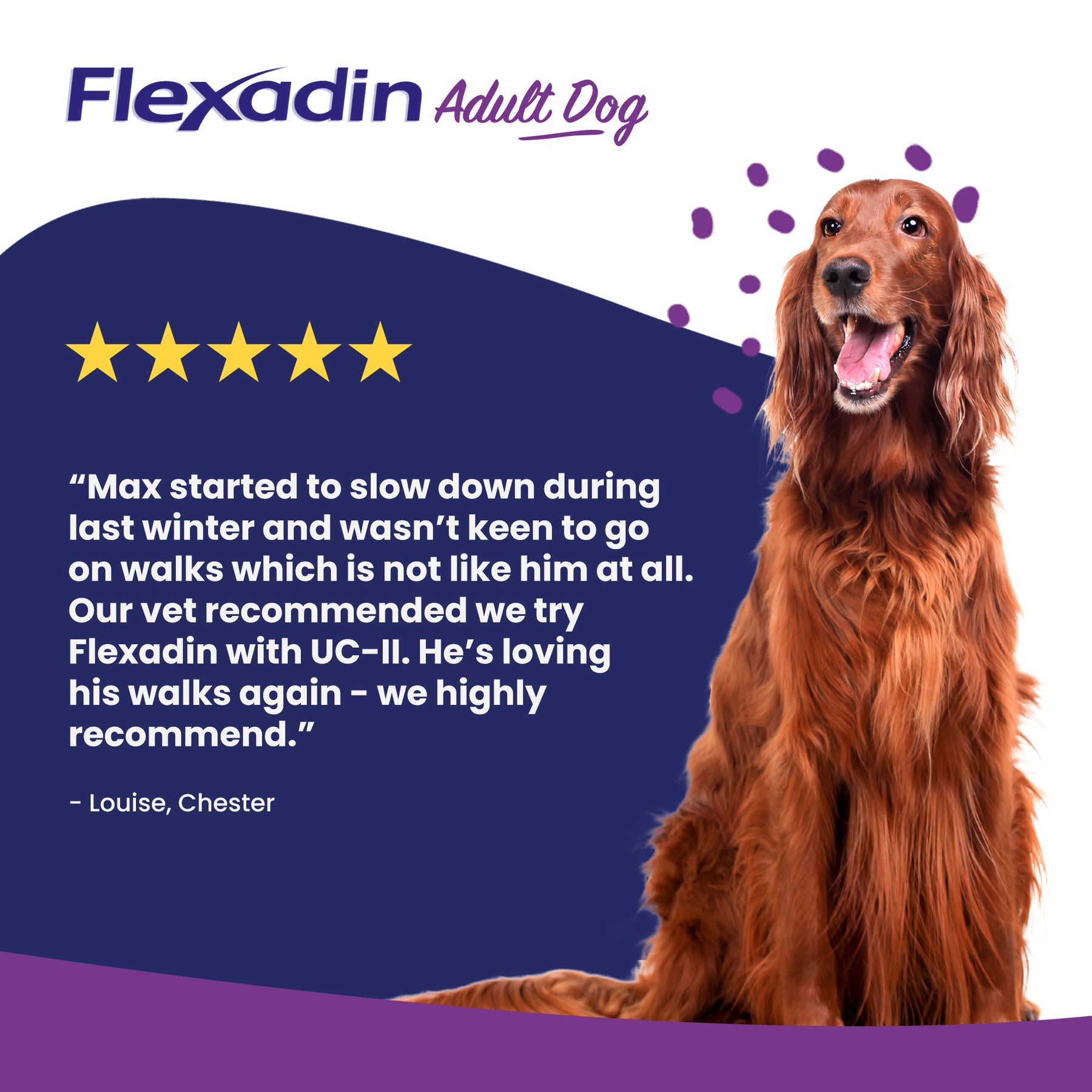 Vetoquinol Flexadin Advanced Dog Chews