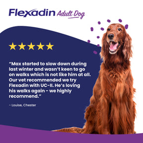 Vetoquinol Flexadin Advanced Dog Chews