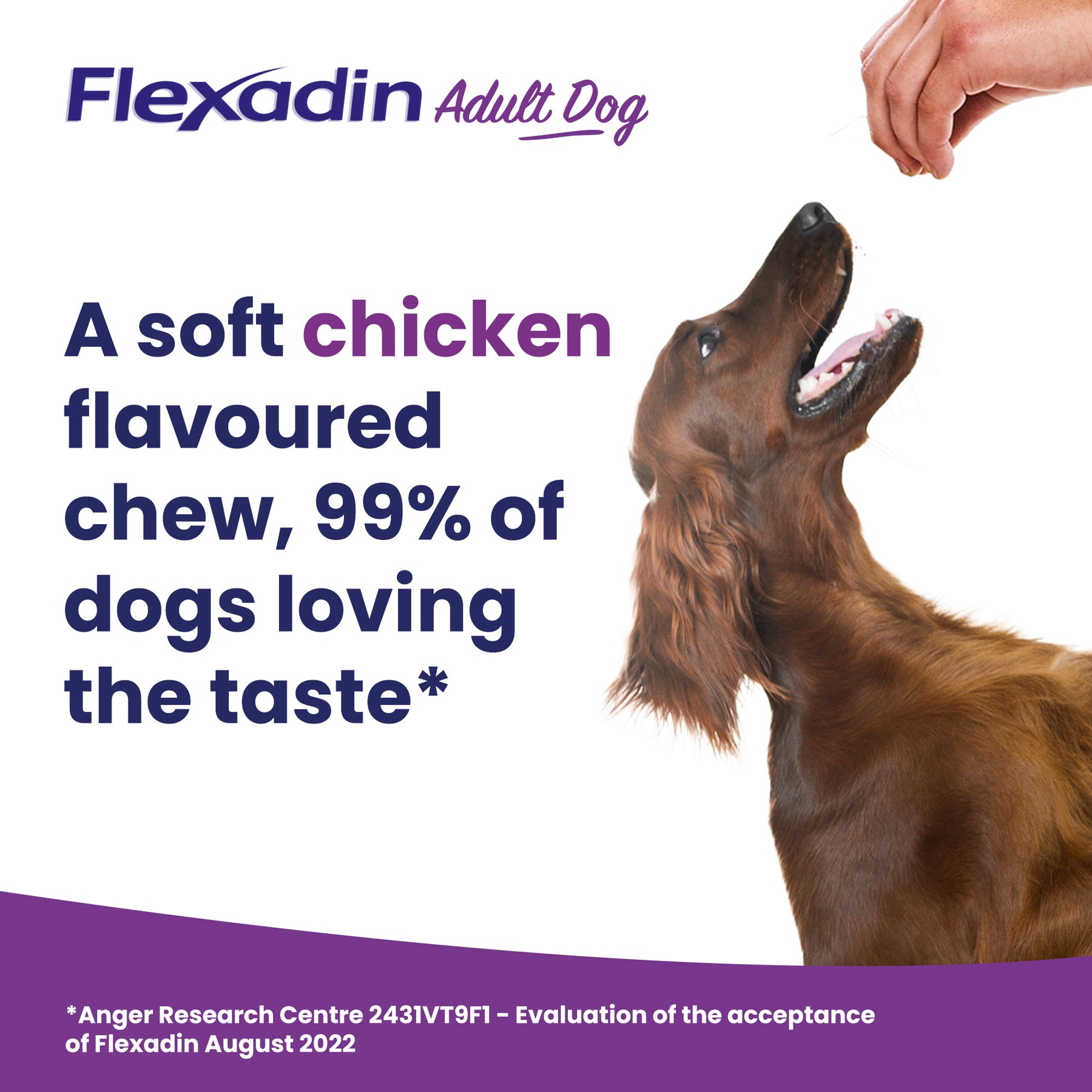 Vetoquinol Flexadin Advanced Dog Chews
