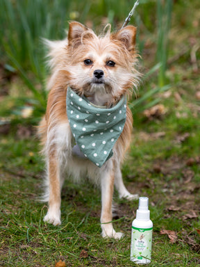Nilaqua Aloe Vera & Green Tea Dog Cologne 100ml