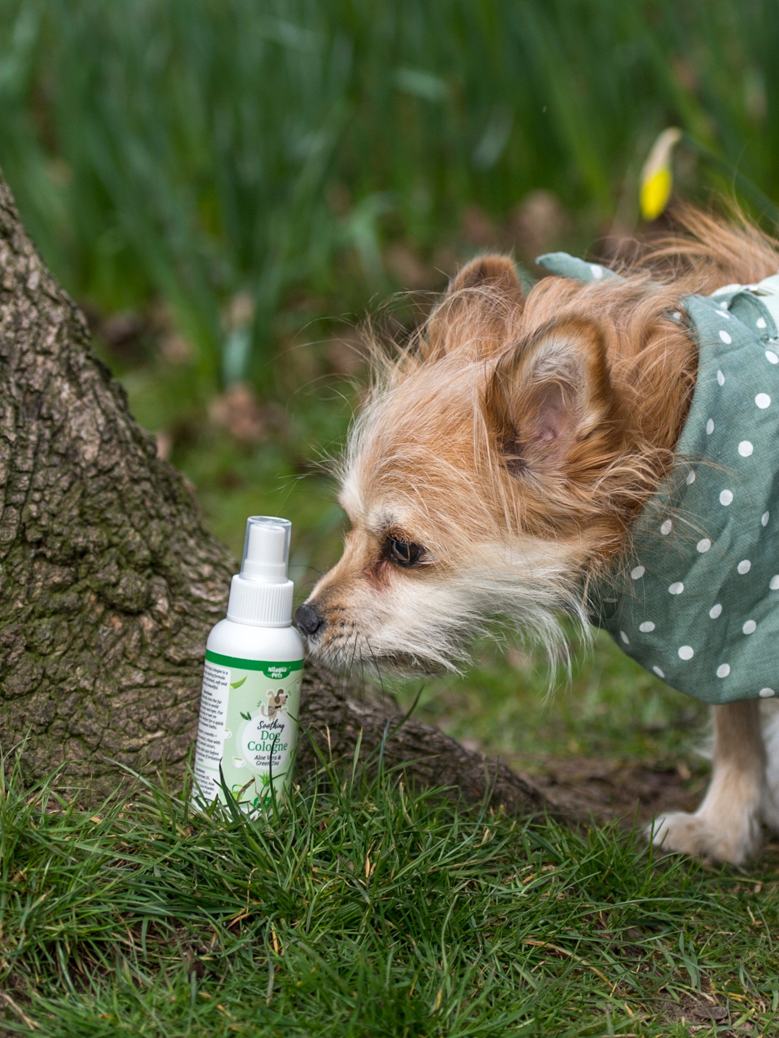 Nilaqua Aloe Vera & Green Tea Dog Cologne 100ml