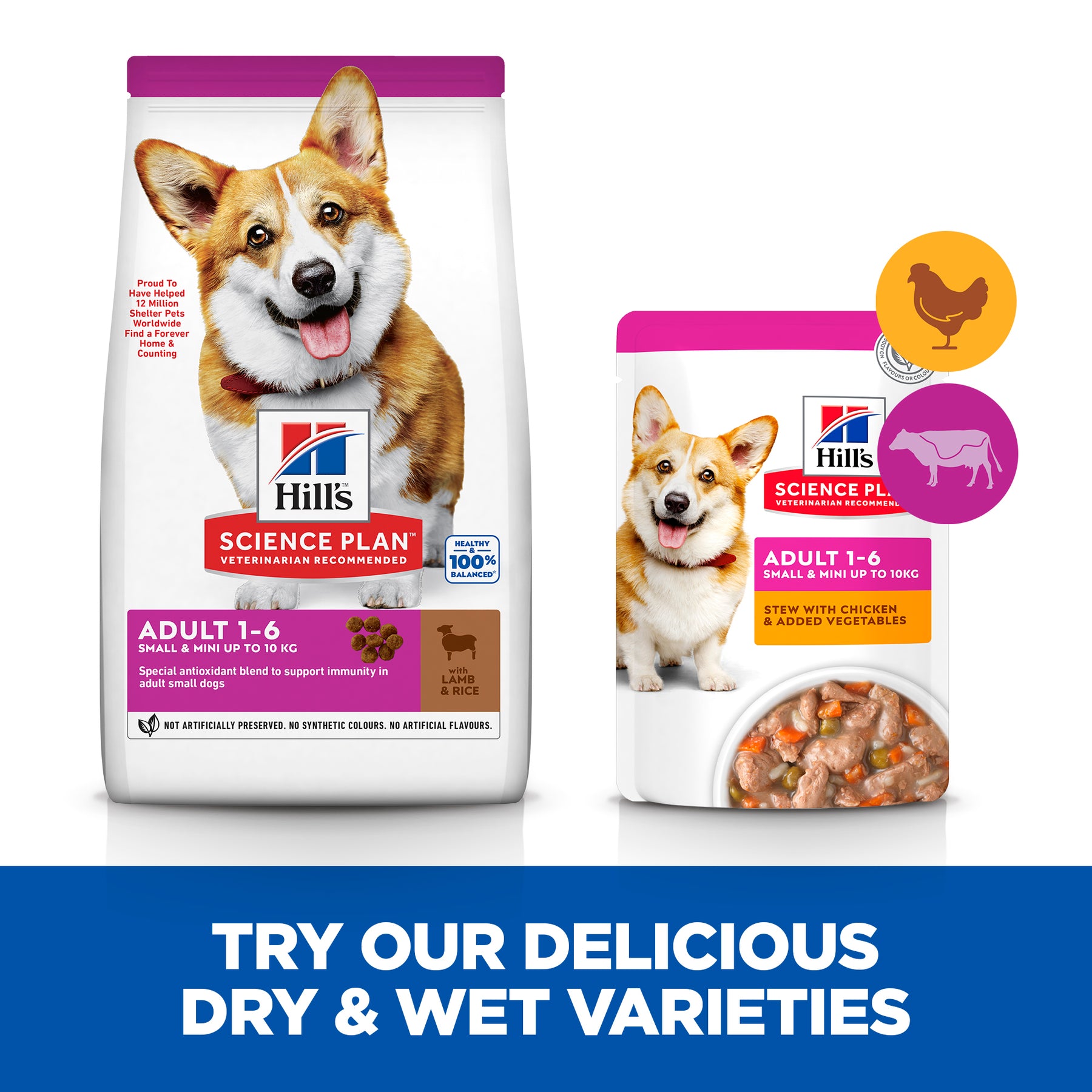 Hill's™ Science Plan Adult Small & Mini Dry Dog Food Lamb & Rice Flavour