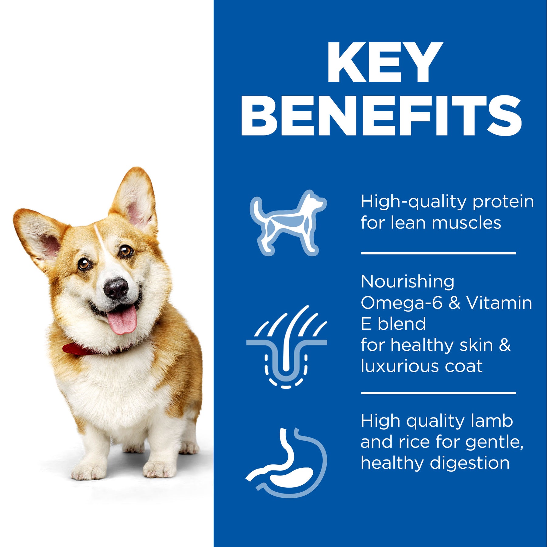 Hill's™ Science Plan Adult Small & Mini Dry Dog Food Lamb & Rice Flavour 6kg