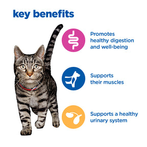 Hill's™ VET ESSENTIALS™ MULTI-BENEFIT Adult Dry Cat Food with Chicken