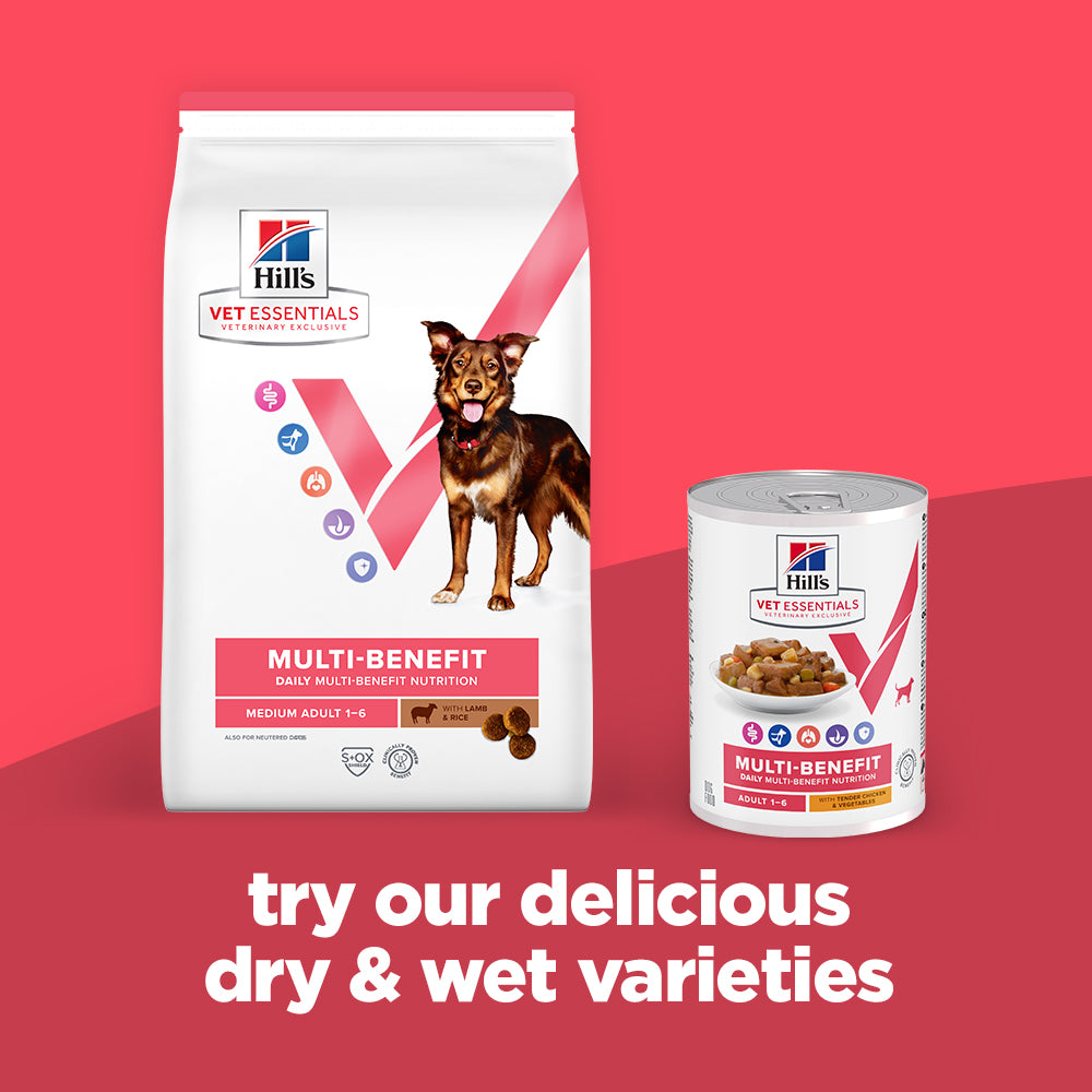 Hill's™ VET ESSENTIALS™ MULTI-BENEFIT Adult Medium Dry Dog Food with Lamb & Rice