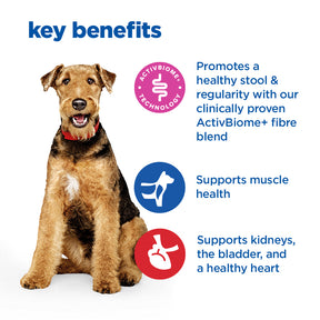 Hill's™ VET ESSENTIALS™ MULTI-BENEFIT + DIGESTION Adult 1+ Medium Dry Dog Food with Chicken