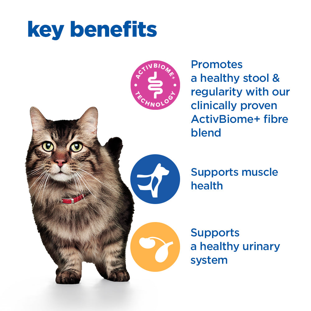 Hill's™ VET ESSENTIALS™ MULTI-BENEFIT + DIGESTION Adult Dry Cat Food with Salmon