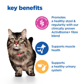 Hill's™ VET ESSENTIALS™ MULTI-BENEFIT + DIGESTION Adult Dry Cat Food with Salmon