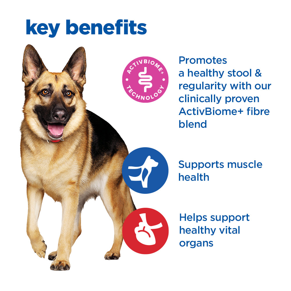 Hill's™ VET ESSENTIALS™ MULTI-BENEFIT + DIGESTION Adult 1+ Large Breed Dry Dog Food with Chicken