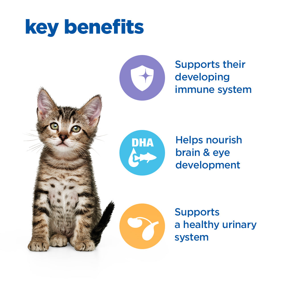 Hill's™ VET ESSENTIALS™ MULTI-BENEFIT Wet Kitten Food Slow-cooked Chicken