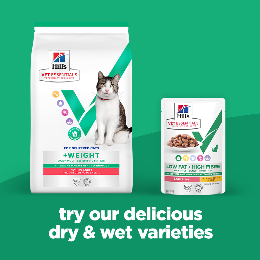 Hill's™ VET ESSENTIALS™ Low Fat + High Fibre Adult Wet Cat Food with Slow-cooked Chicken