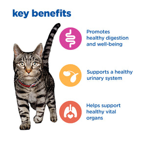 Hill's™ VET ESSENTIALS™ MULTI-BENEFIT Mature Adult Wet Cat Food Slow-cooked Chicken