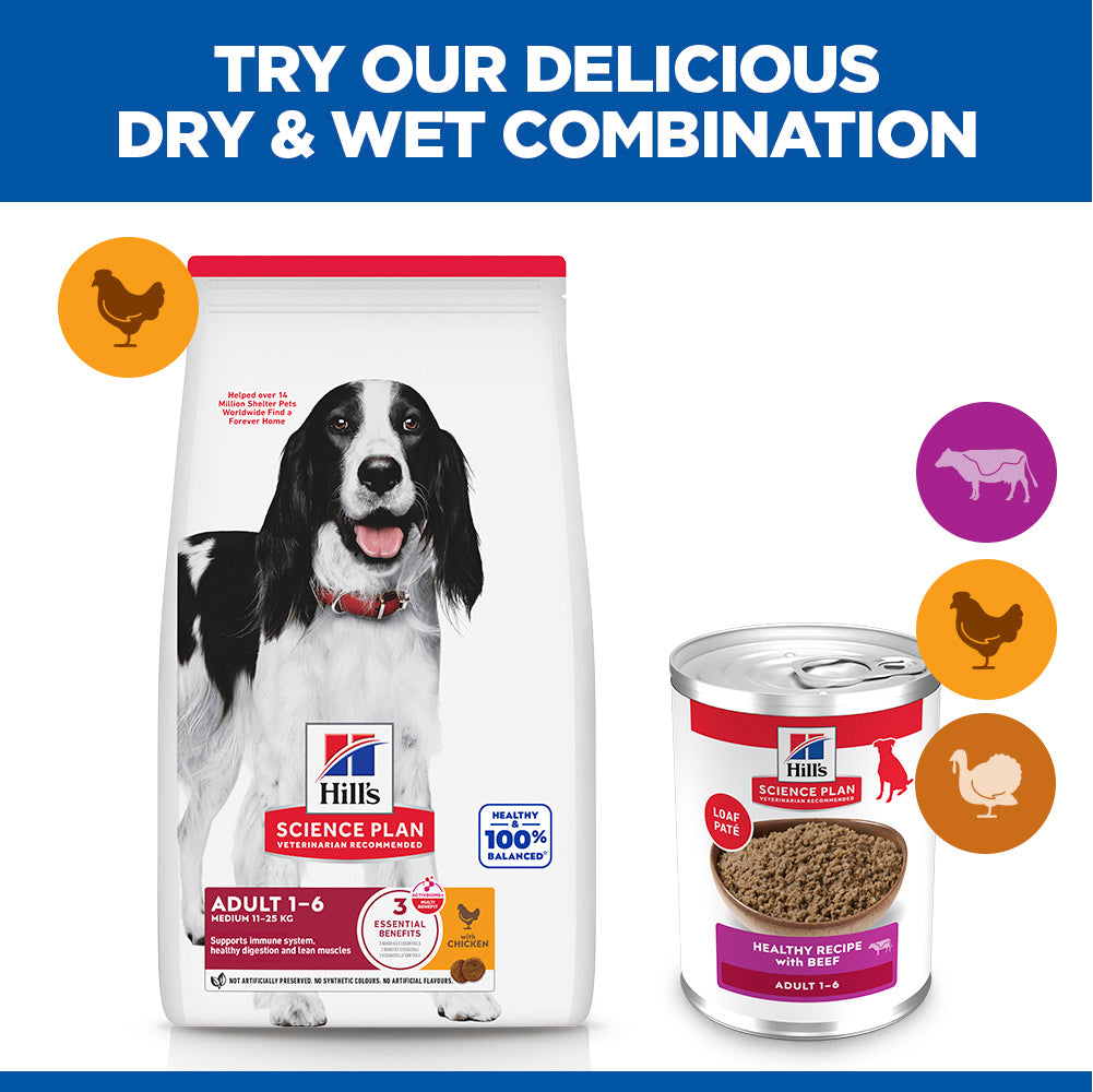 Hill's™ Science Plan Adult Wet Dog Food with Beef