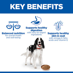 Hill's™ Science Plan Adult Wet Dog Food with Beef