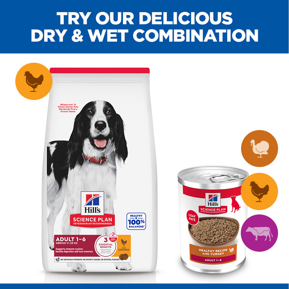 Hill's™ Science Plan Adult Wet Dog Food with Turkey